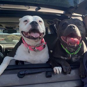 Meet your Posher, Jackie